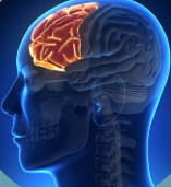 Cheyenne Regional Trauma Series: Head Injuries  Banner